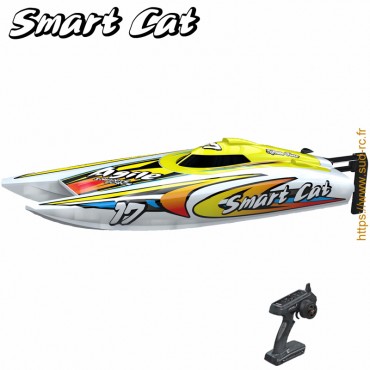 SMART CAT Catamaran RC 2.4GHz RTR Joysway 8204