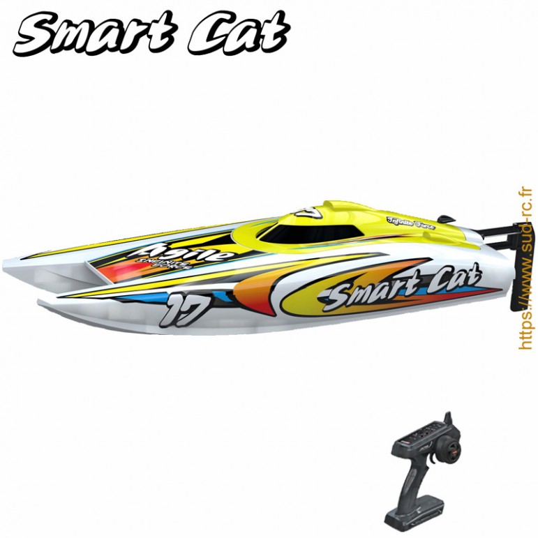 SMART CAT Catamaran RC 2.4GHz RTR Joysway 8204