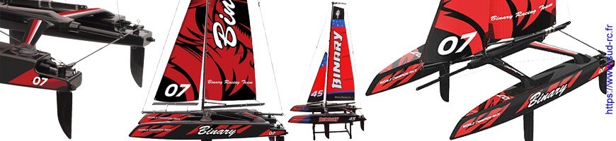 Pièce Binary catamaran Joysway