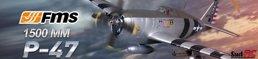 Warbird ARTF